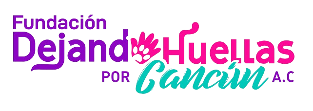Logo Dejando Huellas