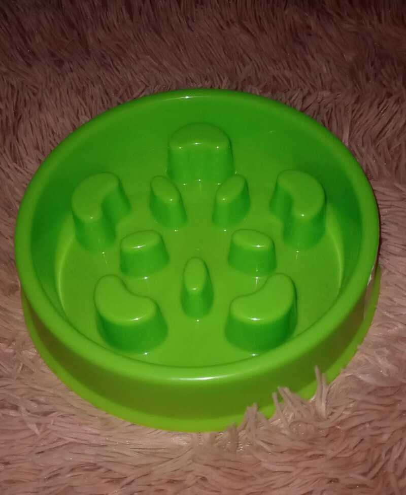 Plato de plástico para mascota con alimentación lenta.